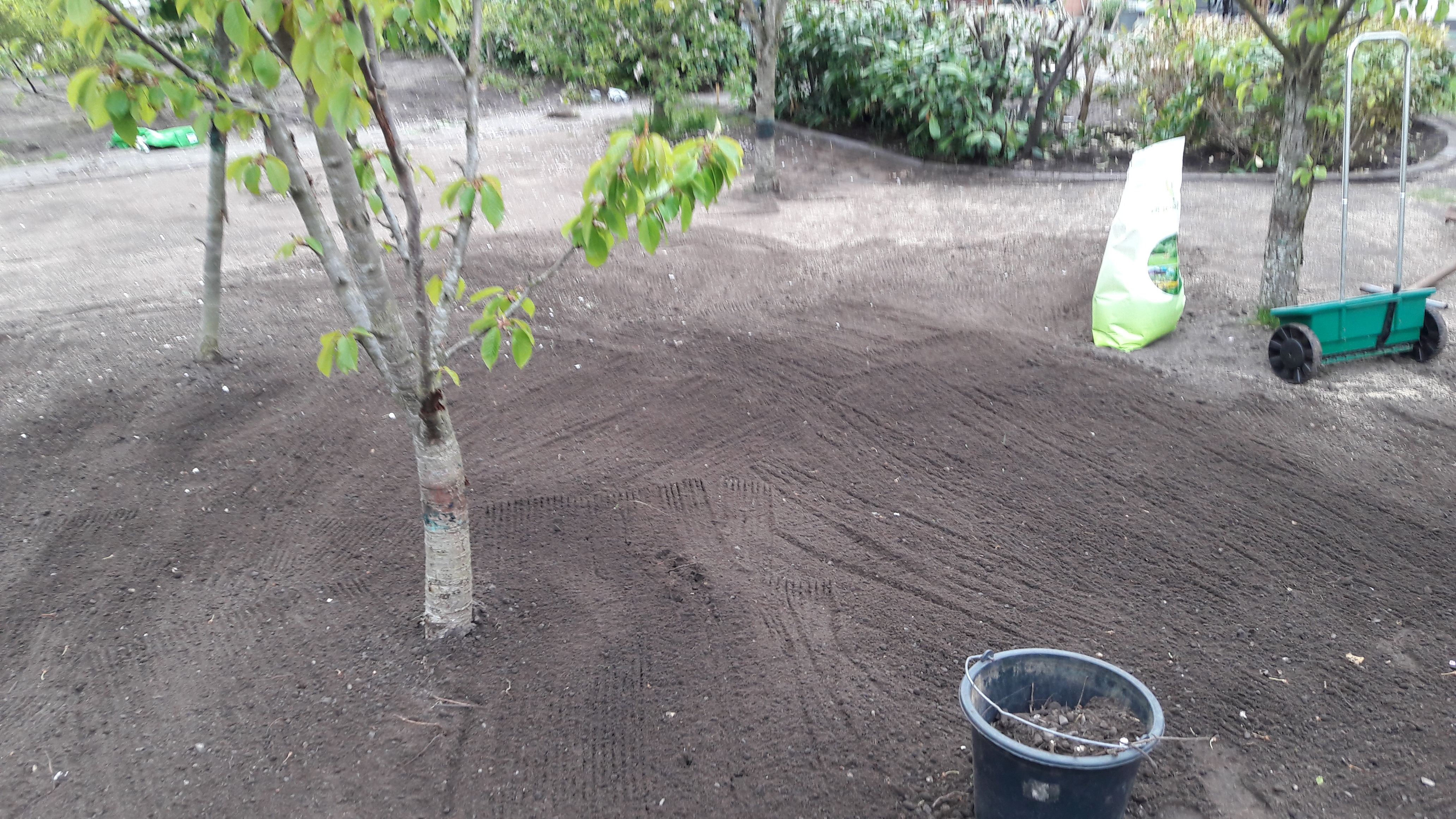 Rasen Part II - Kristin´s Garten